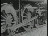 Thumbnail 22