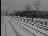 Thumbnail 27