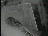 Thumbnail 28