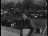 Thumbnail 23