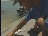 Thumbnail 25