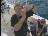 Thumbnail 45