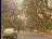 Thumbnail 31