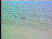 Thumbnail 55