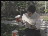 Thumbnail 37