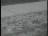 Thumbnail 30