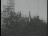 Thumbnail 45