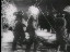 Thumbnail 29