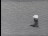 Thumbnail 25