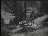 Thumbnail 17