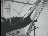 Thumbnail 16
