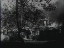 Thumbnail 16