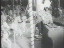 Thumbnail 36