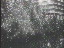 Thumbnail 37