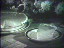 Thumbnail 22