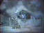 Thumbnail 35