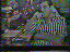 Thumbnail 43