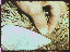 Thumbnail 16