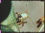 Thumbnail 18