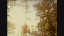 Thumbnail 18