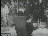 Thumbnail 28