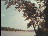 Thumbnail 27