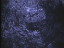 Thumbnail 29