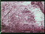 Thumbnail 23