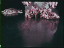 Thumbnail 26