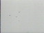 Thumbnail 16