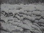 Thumbnail 36