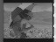 Thumbnail 41