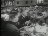 Thumbnail 23