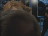 Thumbnail 38