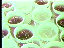 Thumbnail 23