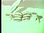 Thumbnail 25