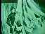 Thumbnail 37