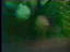Thumbnail 73