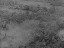 Thumbnail 30