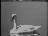 Thumbnail 23