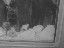 Thumbnail 18