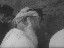 Thumbnail 16