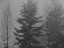 Thumbnail 33