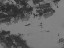 Thumbnail 35
