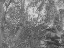 Thumbnail 23
