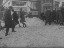 Thumbnail 29