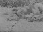 Thumbnail 36