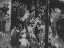 Thumbnail 57