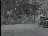 Thumbnail 22