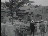Thumbnail 36